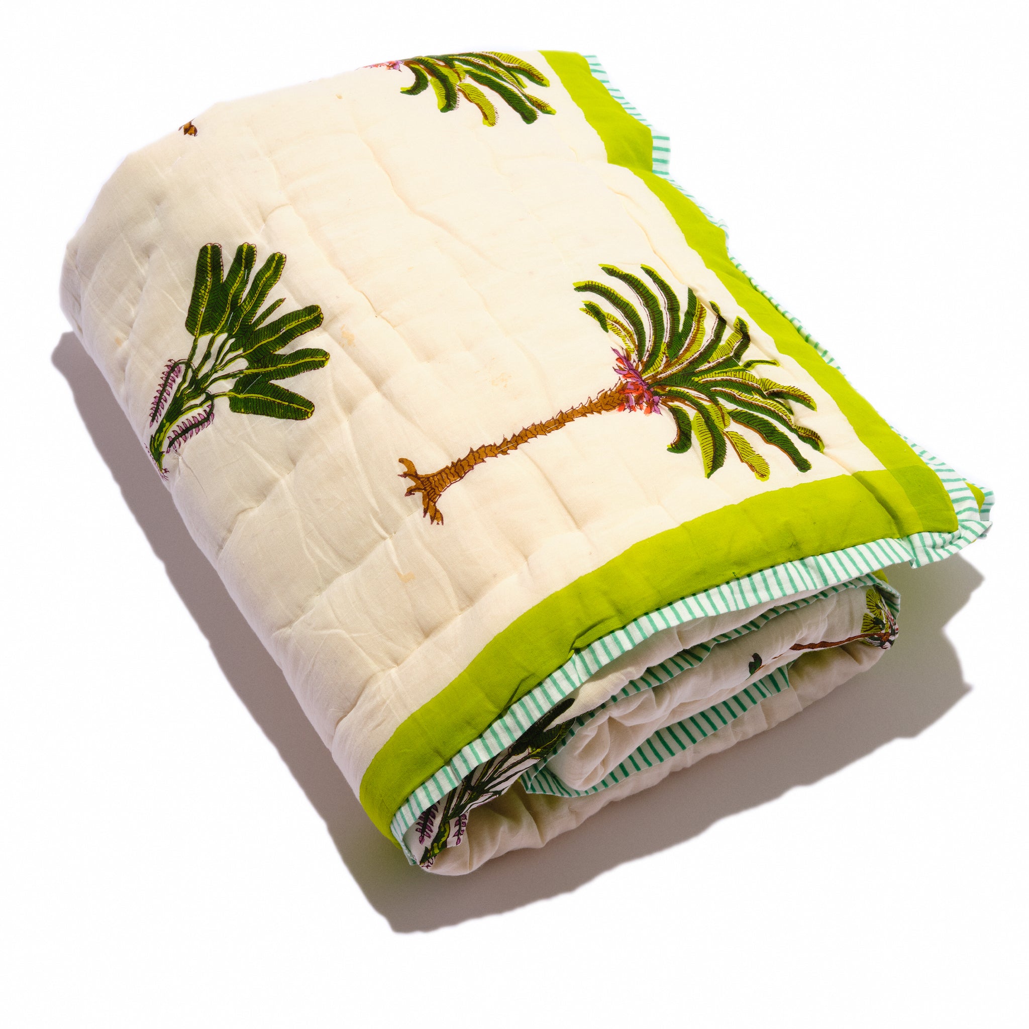 Couverture Palmier