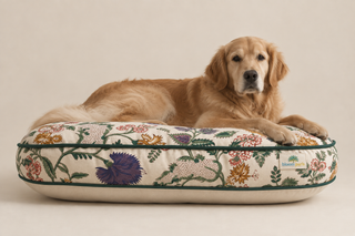 Coussin pour chien Oeillet