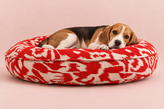 Coussin pour chien Ikat