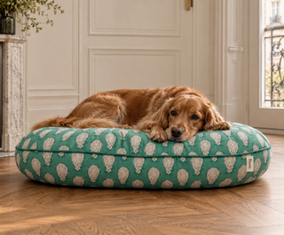Ikat Dog Cushion