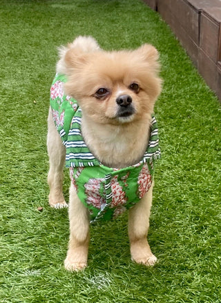 Ritchie Dog Coat<br> Small format