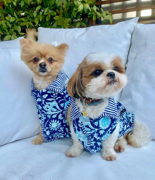 Swift Dog Coat<br> Small format