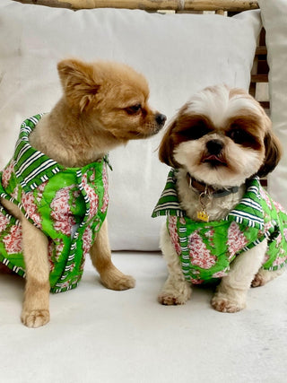 Ritchie Dog Coat<br> Small format