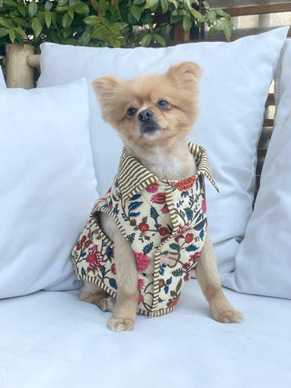 Oeillet Dog Coat<br> Small format